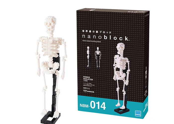 Nanoblock Mänskligt skelett bild